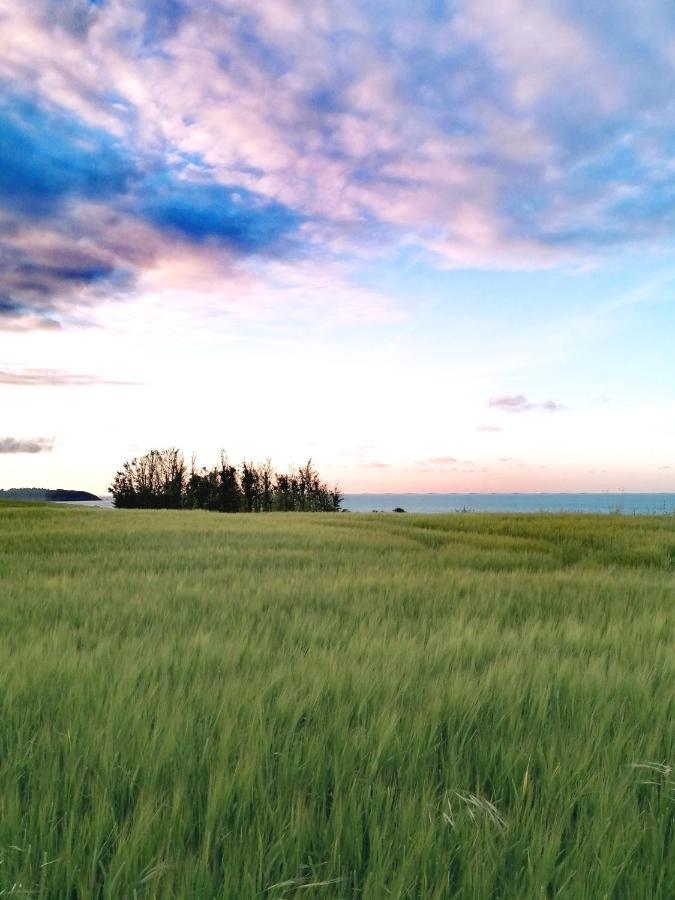 Le Ti'Nid - Gite De Charme - Vue Mer Langueux Exterior photo
